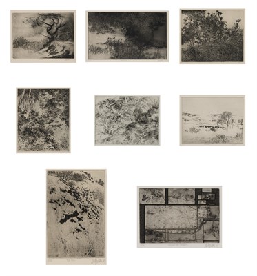 Lot 69 - Peter Milton (b. 1930) FALLSCAPE; MARSHLAND;...