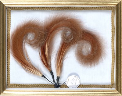 Lot 156 - [WALLIS, DUCHESS OF WINDSOR] Group of personal...