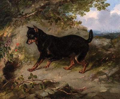 Lot 32 - George Armfield British, 1808-1893 A Favorite...