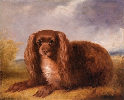 Lot 125 - English School 19th Century Recumbent Spaniel...