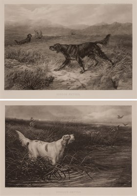 Lot 47 - After George Earl (1824-1908) ENGLISH SETTER;...