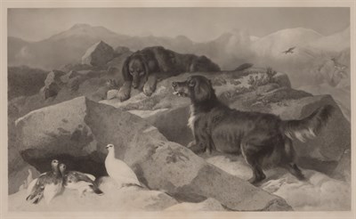 Lot 39 - After Sir Edwin Landseer (1802-1873) PTARMIGAN...