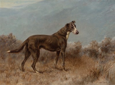 Lot 113 - Maud Earl British, 1863-1943 Spring, a Lurcher...