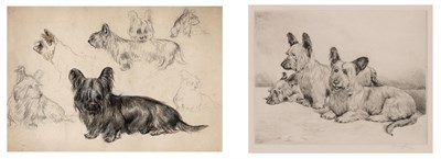 Lot 119 - Arthur Wardle British, 1864-1949 Skye Terrier...