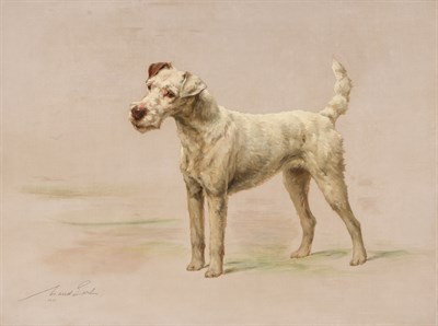 Lot 114 - Maud Earl British, 1863-1943 Ch. Dusky Siren,...