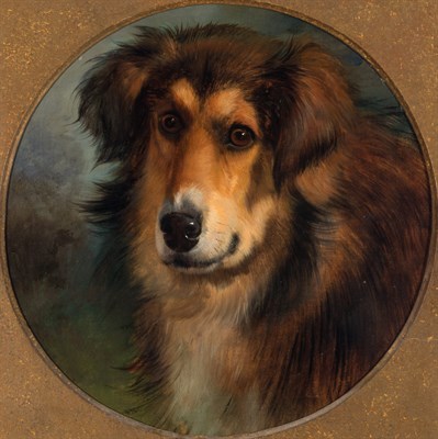 Lot 42 - George Earl British, 1824-1908 Laddie, (Collie...