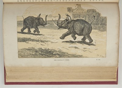 Lot 187 - KNIGHTON, WILLIAM The Private Life of an...