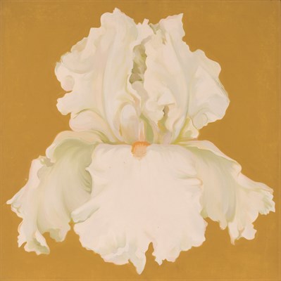 Lot 178 - Lowell Nesbitt American, 1933-1993 White Iris,...