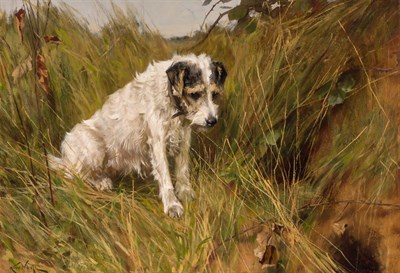 Lot 36A - Arthur Wardle