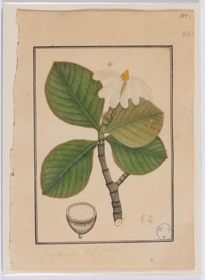 Lot 14 - Indian School Calcutta, circa 1812-1814...