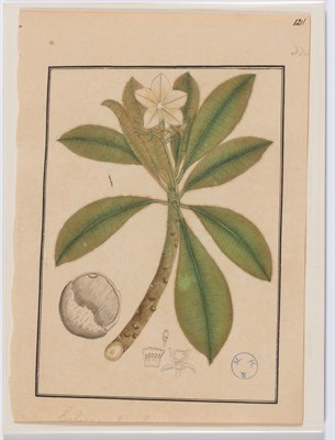 Lot 15 - Indian School Calcutta, circa 1812-1814...