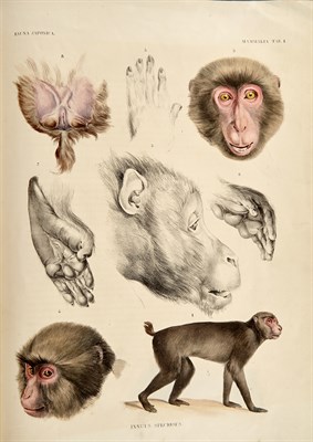 Lot 189 - Collection: From the Collection of Quentin...