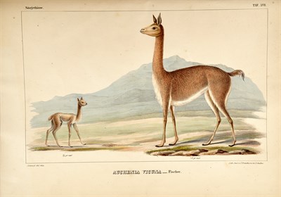 Lot 190 - Collection: From the Collection of Quentin...