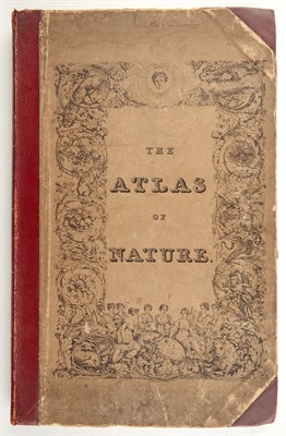 Lot 191 - Collection: From the Collection of Quentin...