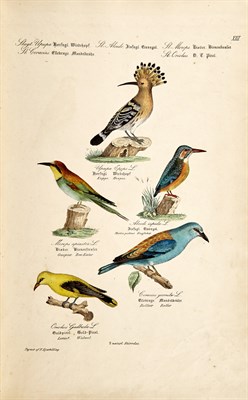 Lot 130 - Collection: From the Collection of Quentin...