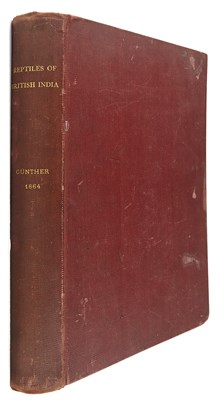 Lot 203 - Collection: From the Collection of Quentin...