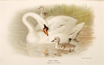 Lot 182 - Collection: From the Collection of Quentin...