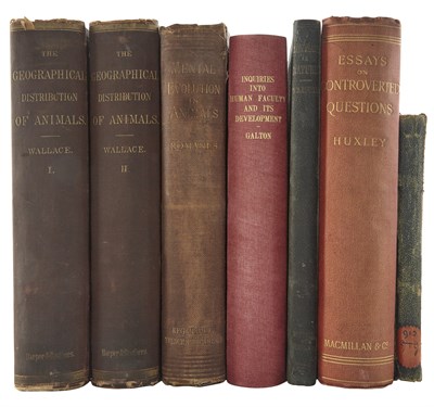 Lot 88 - Collection: From the Collection of Quentin...
