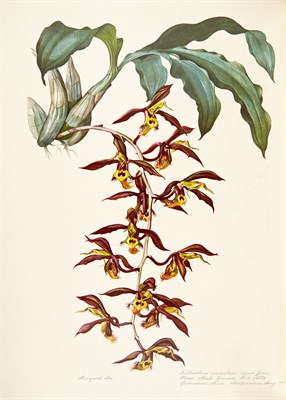 Lot 69 - Collection: From the Collection of Quentin...