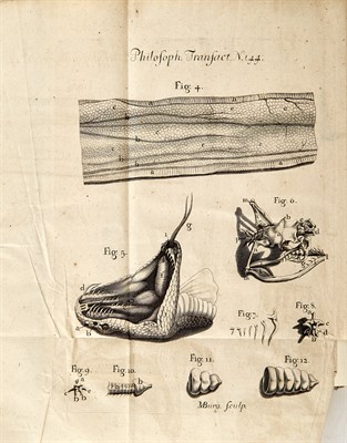 Lot 201 - Collection: From the Collection of Quentin...