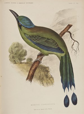 Lot 180 - Collection: From the Collection of Quentin...