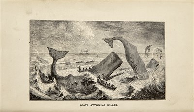 Lot 157 - Two items pertaining to Moby-Dick