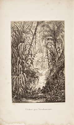 Lot 153 - The Pacific voyage of the Galatea