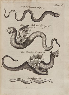 Lot 185 - Collection: From the Collection of Quentin...