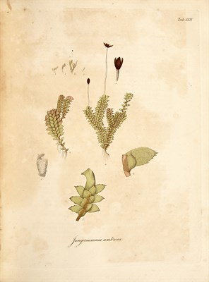 Lot 132 - Collection: From the Collection of Quentin...