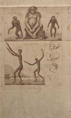 Lot 87 - Collection: From the Collection of Quentin...