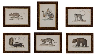 Lot 107 - After J. C. Werner [ANIMAL STUDIES] Six...