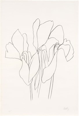 Lot 88 - Ellsworth Kelly (1923-2015) CYCLAMEN V (AXSOM...