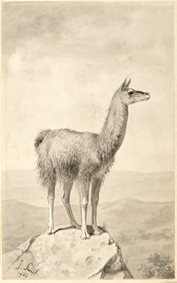 Lot 148 - Collection: From the Collection of Quentin...