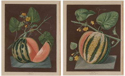 Lot 93 - George Brookshaw (1751-1823) POLINAC; SCARLET...