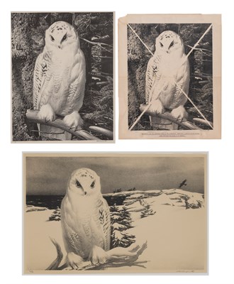 Lot 186 - Stow Wengenroth (1906-1978) SNOWY OWL (2);...