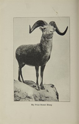Lot 209 - TAYLOR, L. Hunting Big Game in North Western...