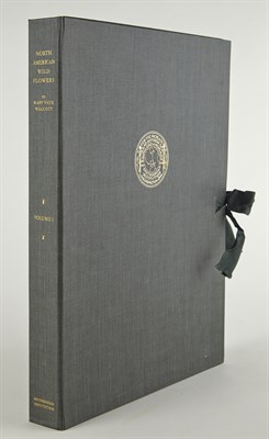 Lot 214 - WALCOTT, MARY VAUX North American Wild Flowers....