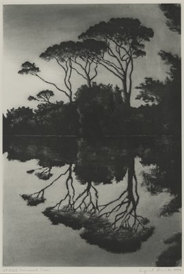 Lot 27 - April Gornik (American, b. 1953) MIRRORED...