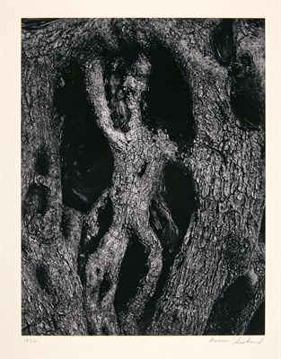 Lot 119 - (SISKIND, AARON; SIEGEL, ARTHUR et al.)...