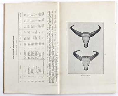 Lot 36 - [BIG GAME-TROPHIES] BENTHAM, T. An illustrated...