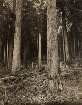 Lot 26 - KINSEY, DARIUS (1869-1945) Group of six...