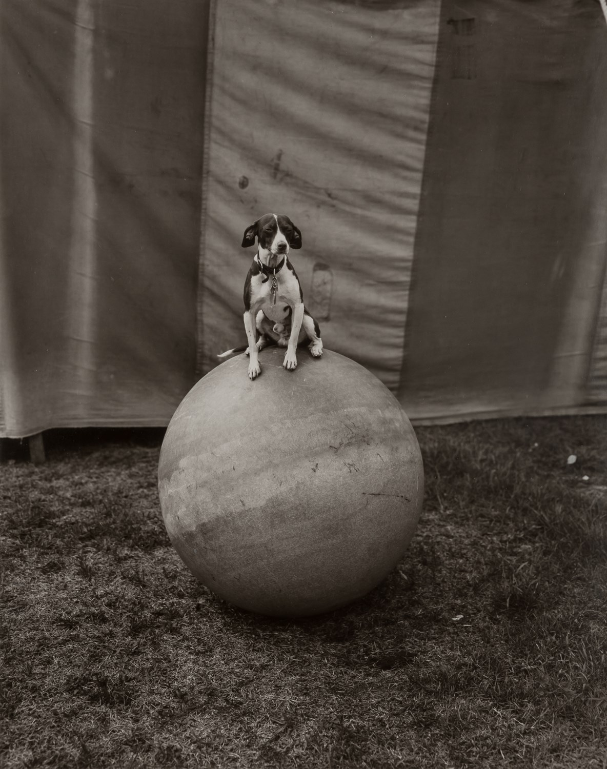 Lot 87 - LEVENSON, RANDAL (b. 1946) Two gelatin silver...