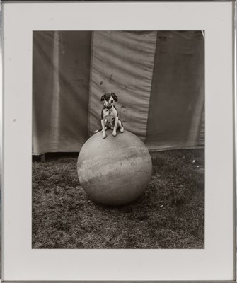 Lot 87 - LEVENSON, RANDAL (b. 1946) Two gelatin silver...