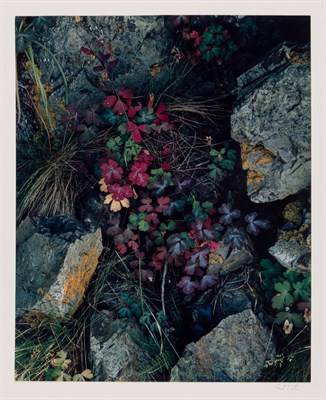 Lot 117 - PORTER, ELIOT (1901-1990) Group of four images,...