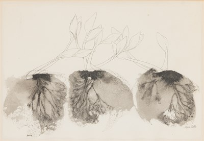 Lot 48 - Joyce Sills American, 20th Century Plants and...