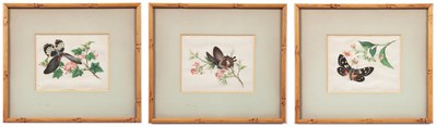 Lot 145 - Three Chinese Pith Paper Paintings of Flowers...