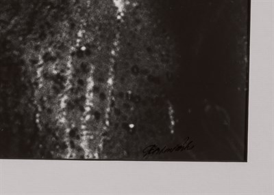 Lot 112 - Gordon Parks