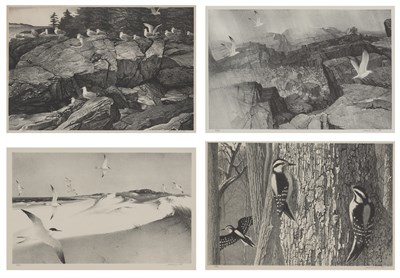 Lot 67 - Stow Wengenroth (1906-1978) SEA GULLS; FOG...