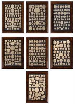 Lot 117 - Assembled Set of Seven Framed Seal Impressions...
