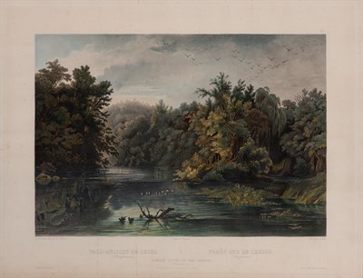Lot 97 - After Karl Bodmer (1809-1893) FOREST SCENE ON...